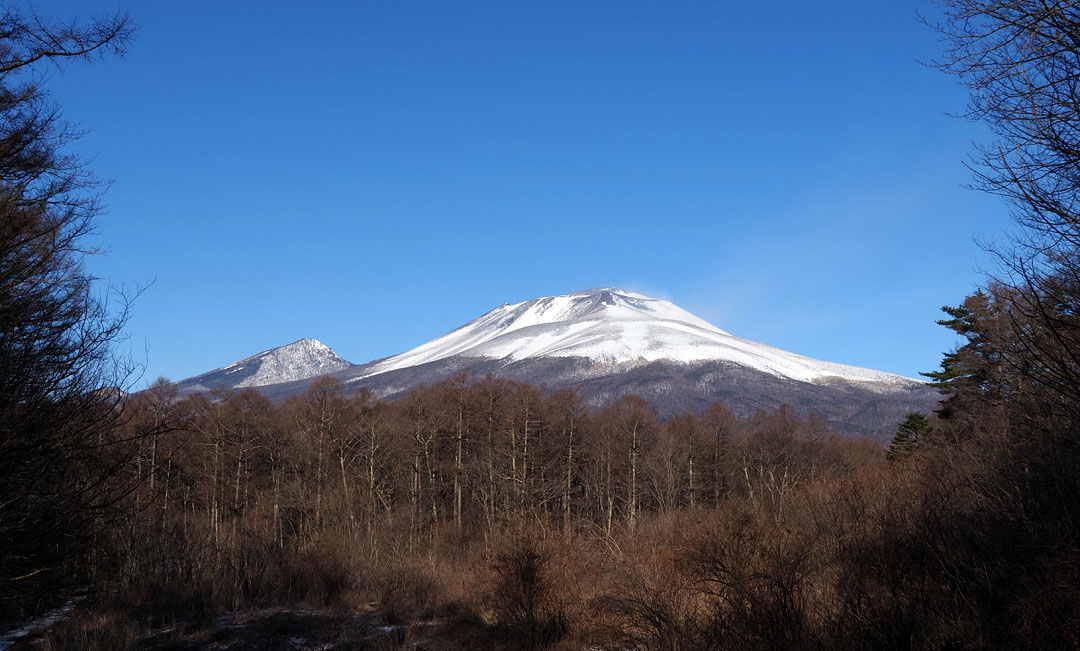 野鳥調査情報 ２０２０年２月１９日 ピッキオ日誌 ピッキオ 軽井沢 野生動物ウォッチング